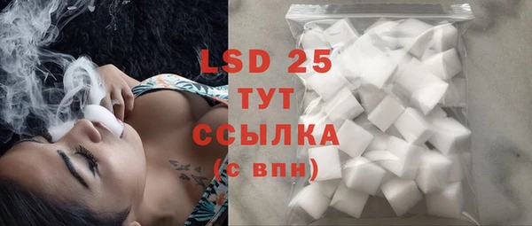 индика Балабаново