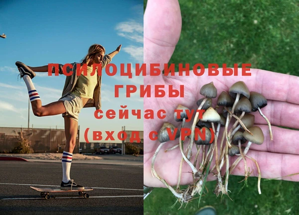 индика Балабаново