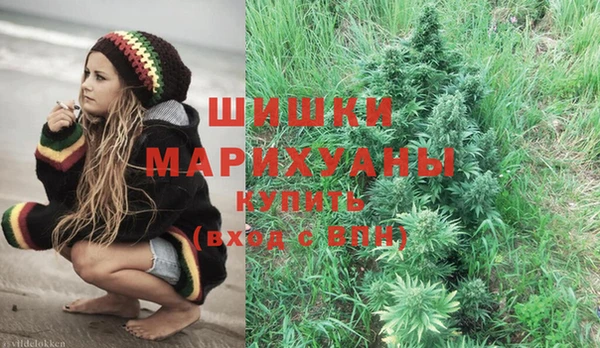 индика Балабаново